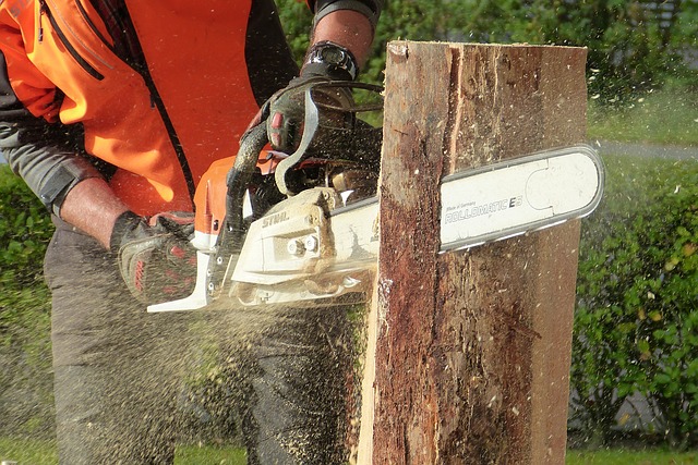 how to sharpen chainsaw